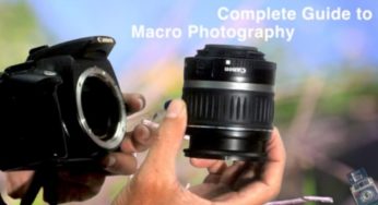 MACRO PHOTOGRAPHY TIPS AND TRICKS WITH THE RIGHT LENSES