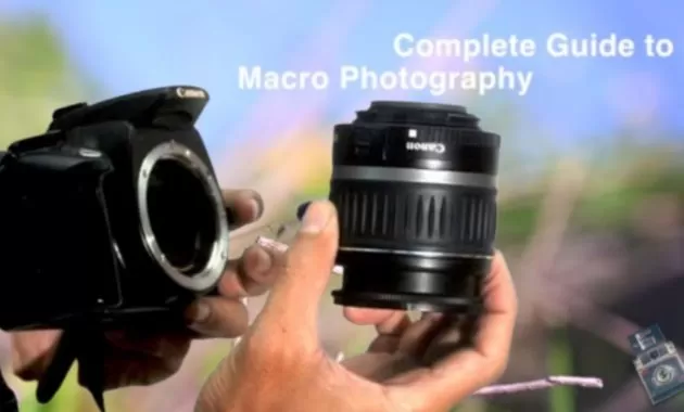 Picsart 23 07 13 07 05 52 859 Copy 1557x1016