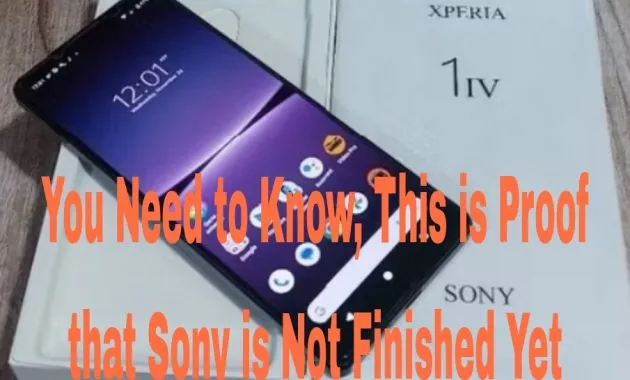 Picsart 24 11 23 21 25 35 606